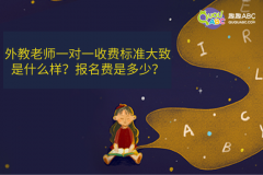 外教老師一對(duì)一收費(fèi)標(biāo)準(zhǔn)大致是什么樣？報(bào)名費(fèi)是多少？