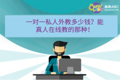 一對(duì)一私人外教多少錢？能真人在線教的那種！