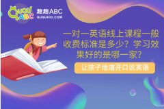 一對(duì)一英語線上課程一般收費(fèi)標(biāo)準(zhǔn)是多少？學(xué)習(xí)效果好的是哪一家？