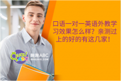 口語(yǔ)一對(duì)一英語(yǔ)外教學(xué)習(xí)效果怎么樣？親測(cè)過(guò)上的好的有這幾家！