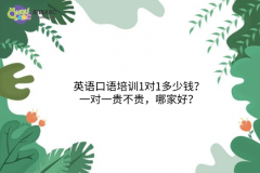 英語(yǔ)口語(yǔ)培訓(xùn)1對(duì)1多少錢？一對(duì)一貴不貴，哪家好？
